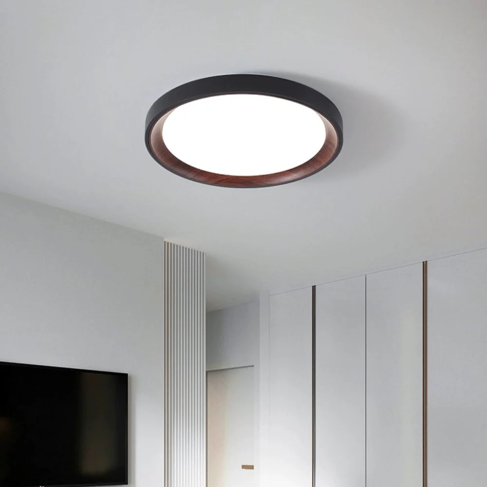Acrylic Round Simple LED Ceiling Light