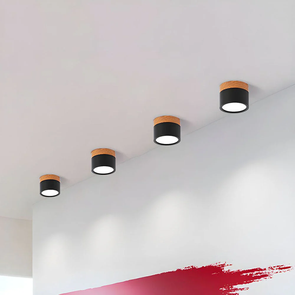 Aluminum Mini Cylinder Ceiling Light - Image 11