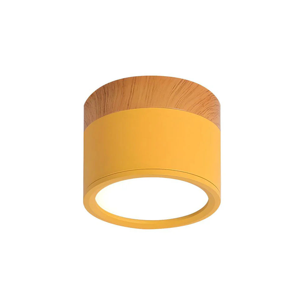 Aluminum Mini Cylinder Ceiling Light - Image 18