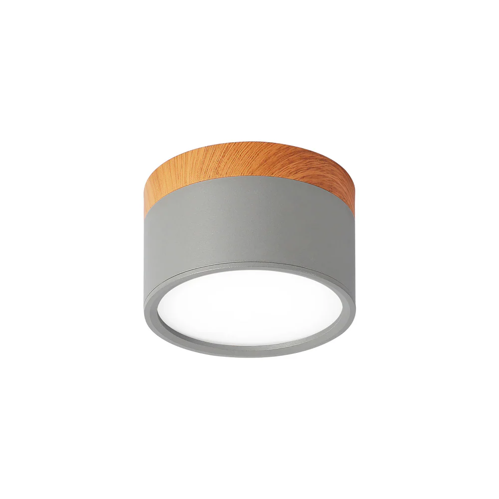 Aluminum Mini Cylinder Ceiling Light - Image 19