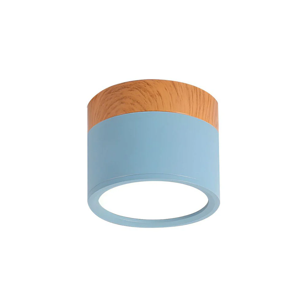 Aluminum Mini Cylinder Ceiling Light - Image 20