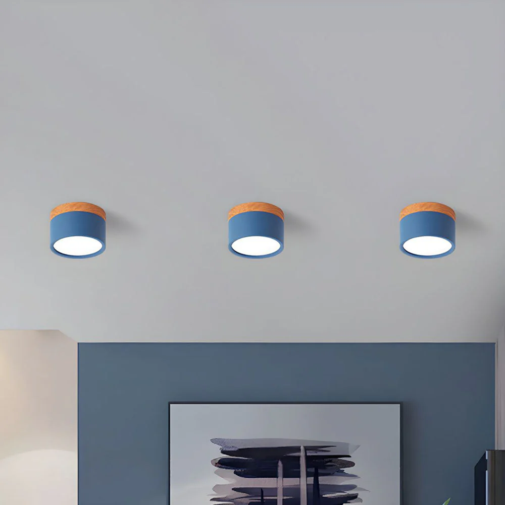 Aluminum Mini Cylinder Ceiling Light - Image 22
