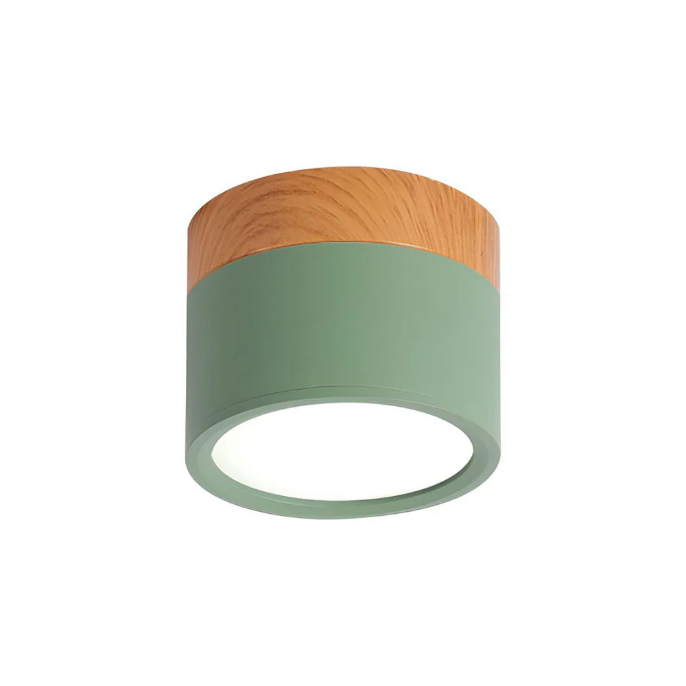 Aluminum Mini Cylinder Ceiling Light - Image 23