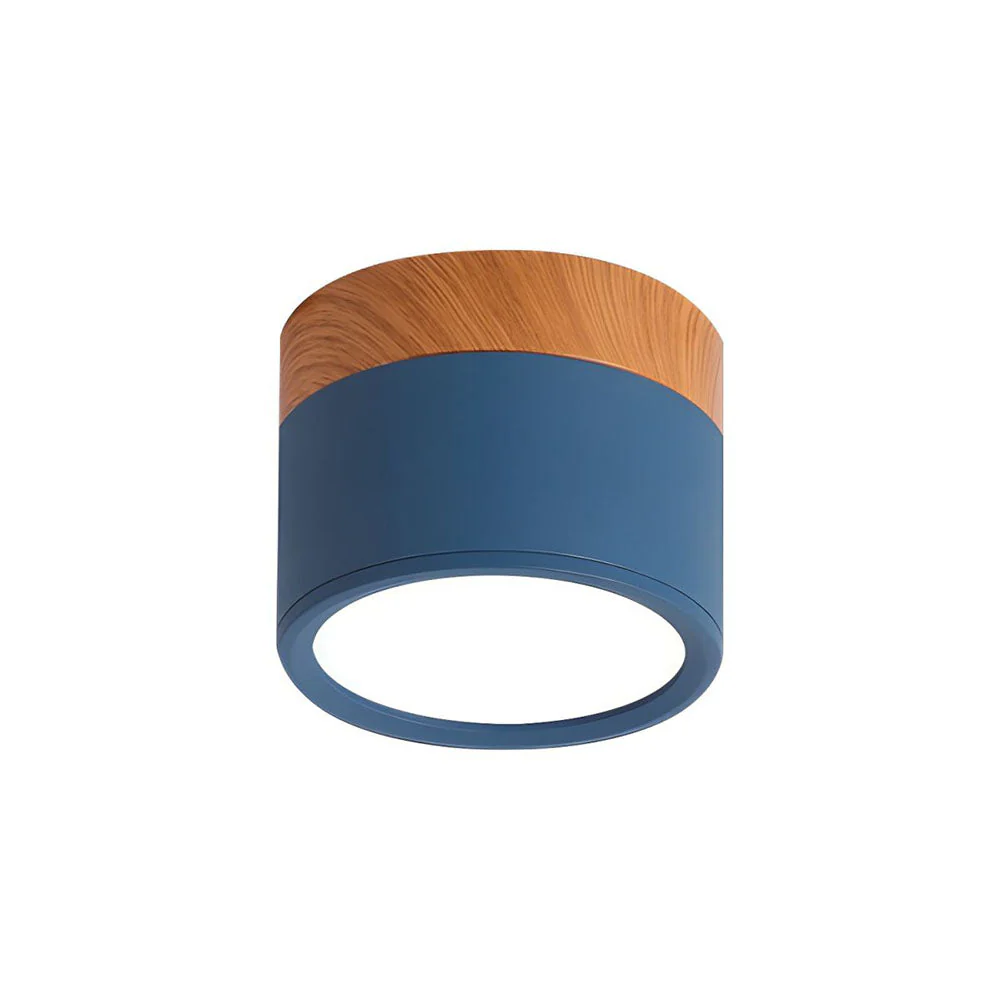 Aluminum Mini Cylinder Ceiling Light - Image 24