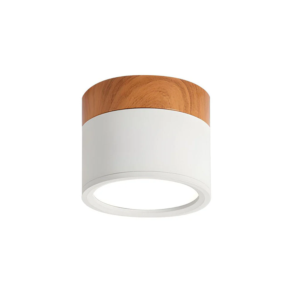 Aluminum Mini Cylinder Ceiling Light - Image 5
