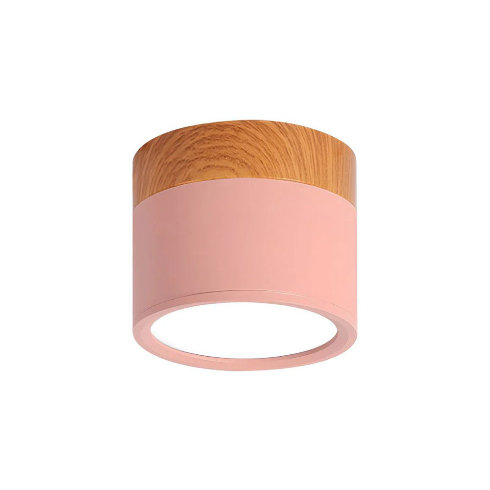 Aluminum Mini Cylinder Ceiling Light - Image 7