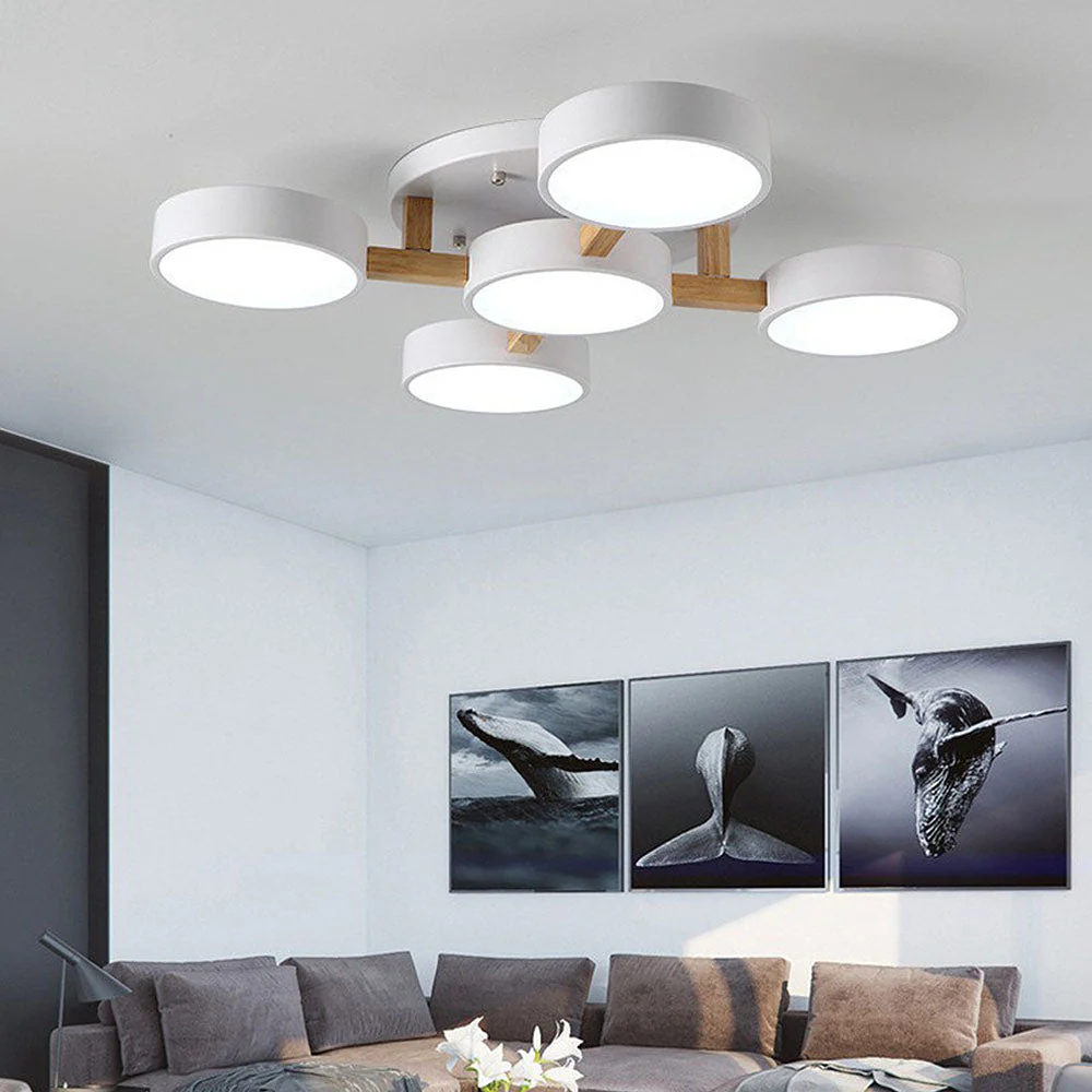 Contemporary Acrylic Multi-Heads Ceiling Light - Image 23