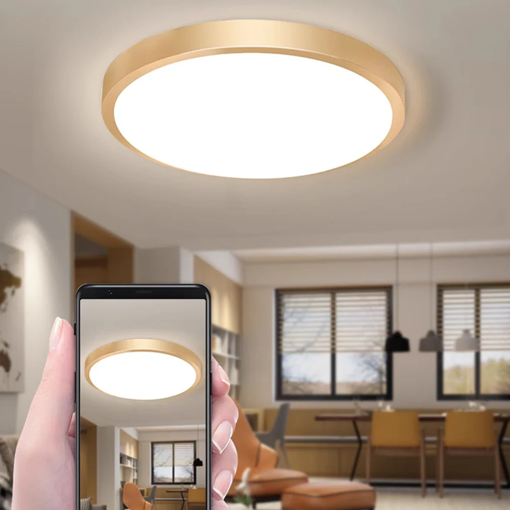 Gold Vintage Round Flush Mount Ceiling Light - Image 3