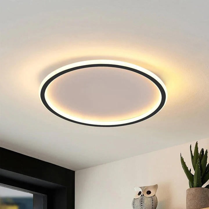 Minimalist Ultra-thin Adjustable Round Ceiling Light