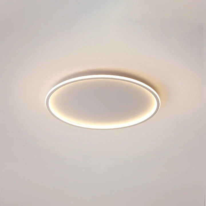 Minimalist Ultra-thin Adjustable Round Ceiling Light - Image 16