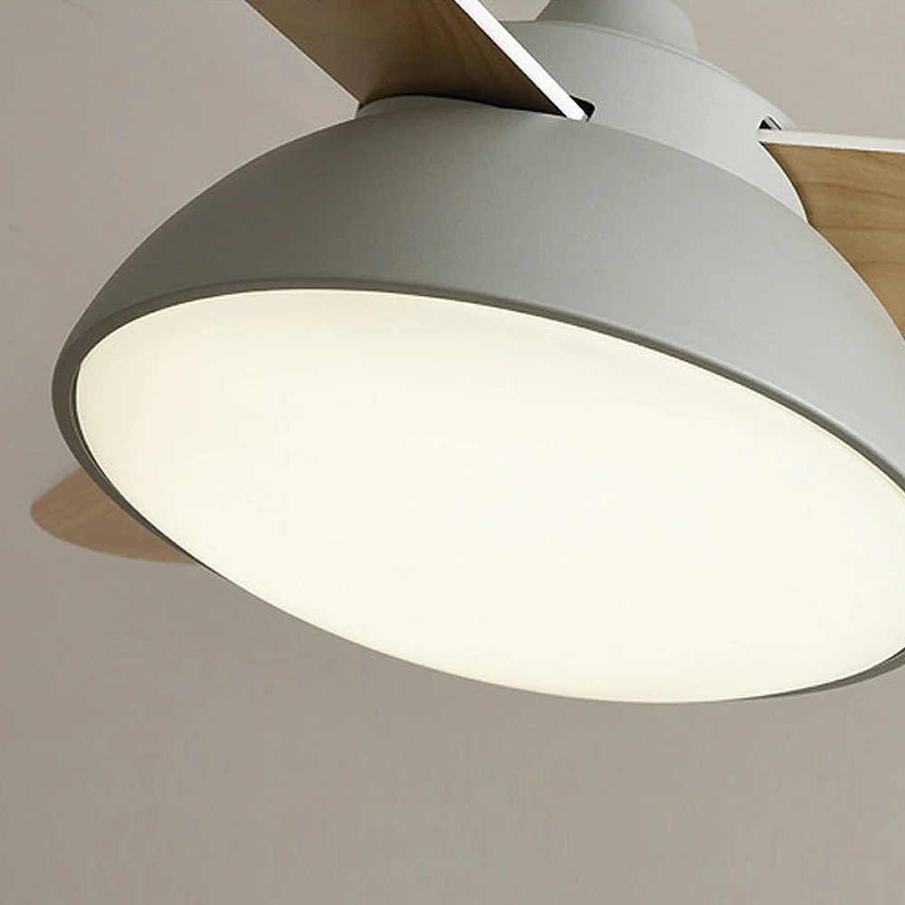Modern Simple Flush Ceiling Fan With LED Lighting - Image 20