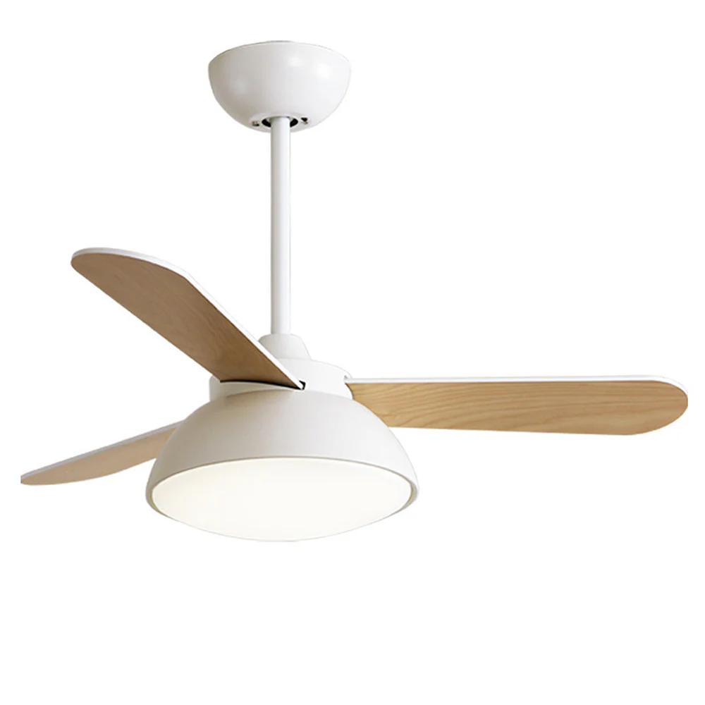 Modern Simple Flush Ceiling Fan With LED Lighting - Image 21