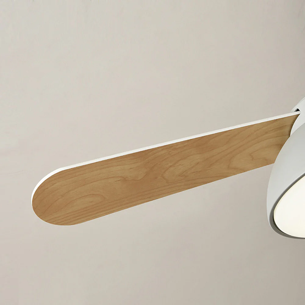 Modern Simple Flush Ceiling Fan With LED Lighting - Image 23