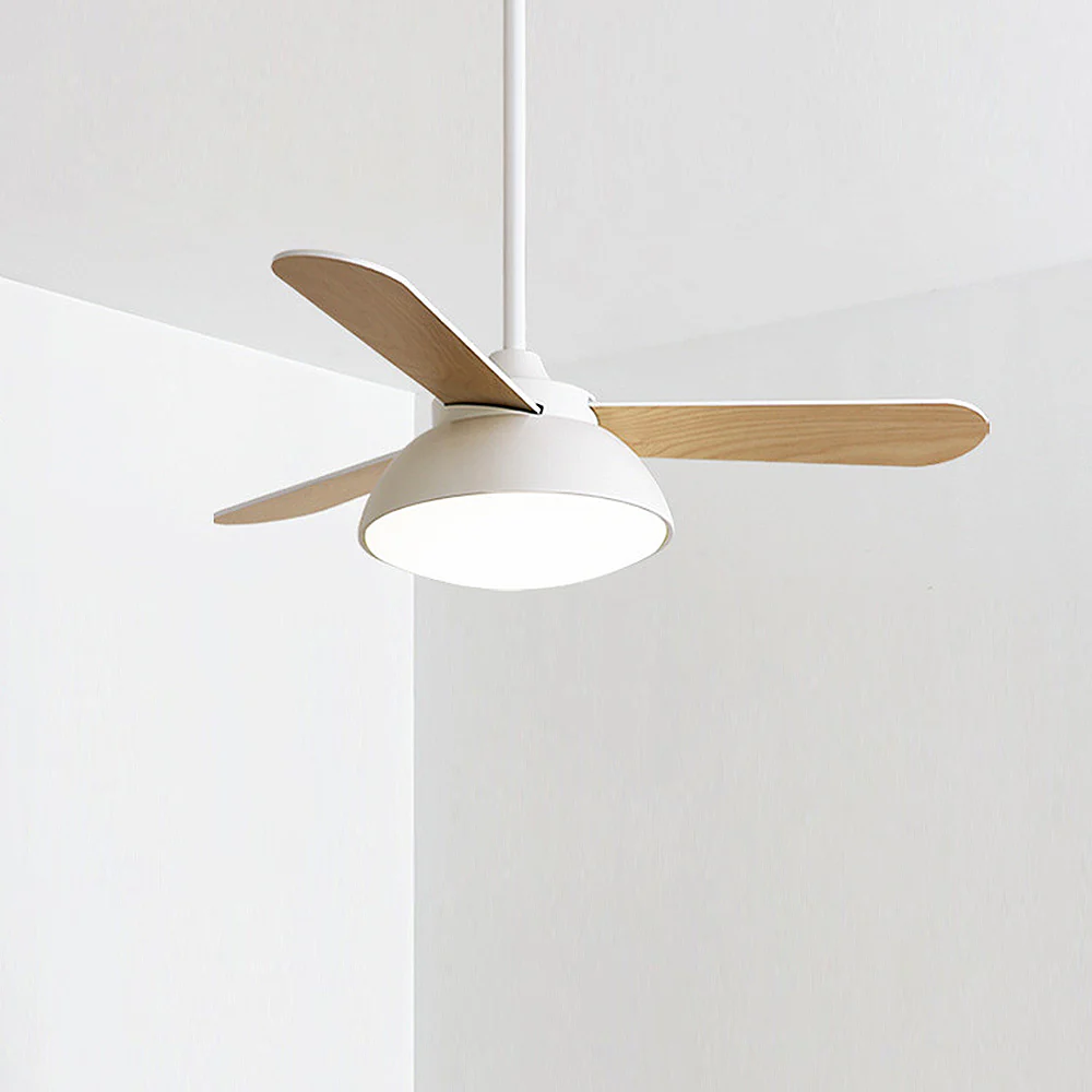 Modern Simple Flush Ceiling Fan With LED Lighting - Image 3