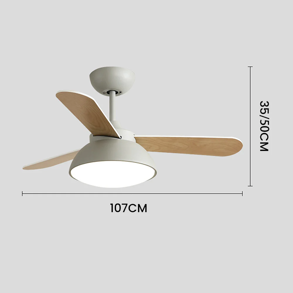 Modern Simple Flush Ceiling Fan With LED Lighting - Image 6