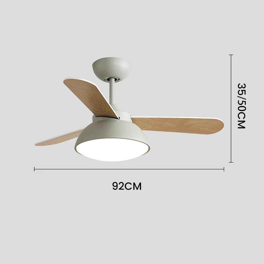 Modern Simple Flush Ceiling Fan With LED Lighting - Image 9