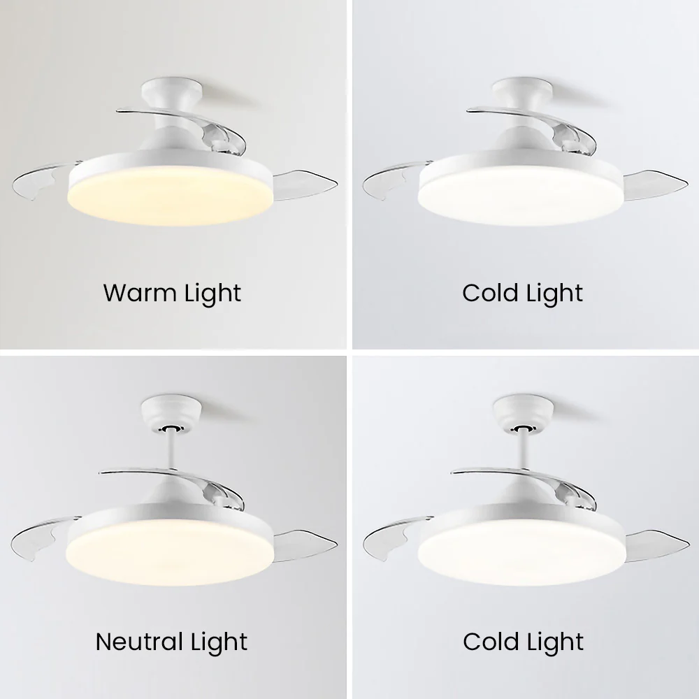 Simple Low Profile Ceiling Fan With LED Light - Image 4